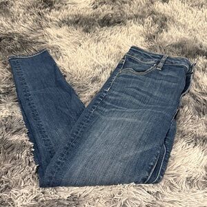 American Eagle Outfitters Dark Blue Skinny Jeans